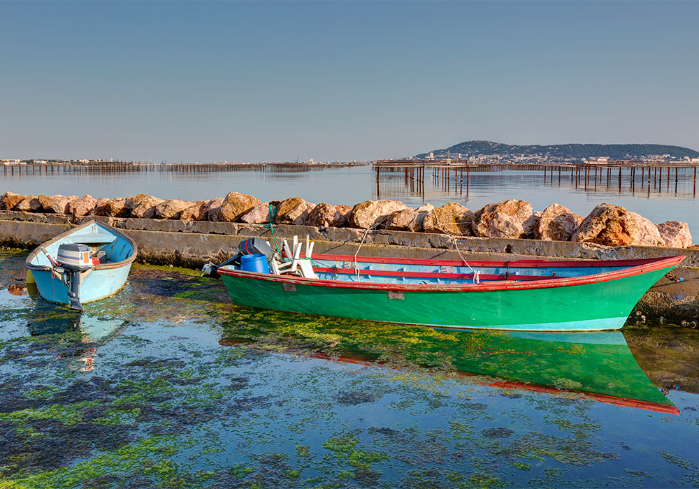 bassin de thau herault
