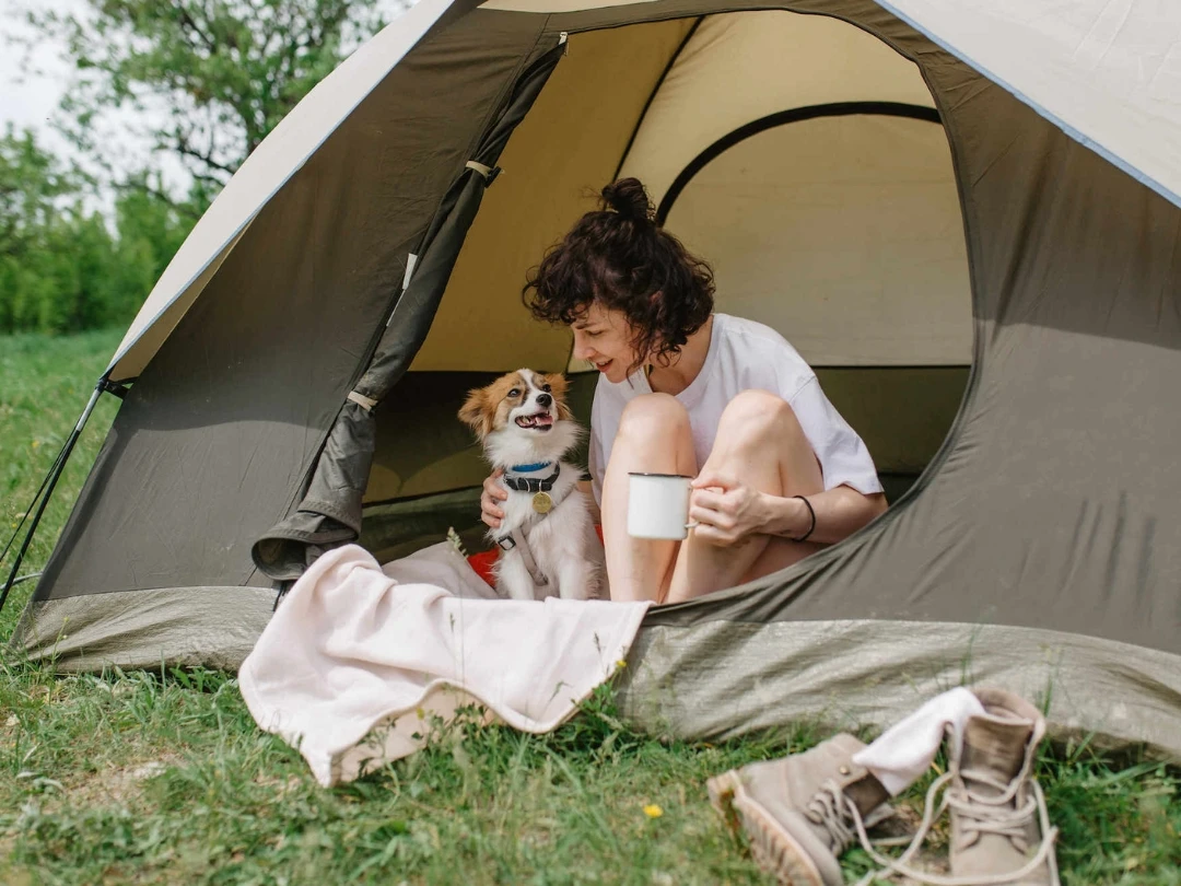 camping die honden accepteert