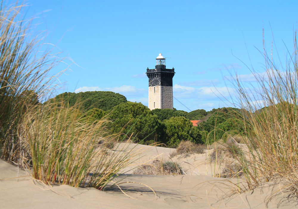 phare espiguette