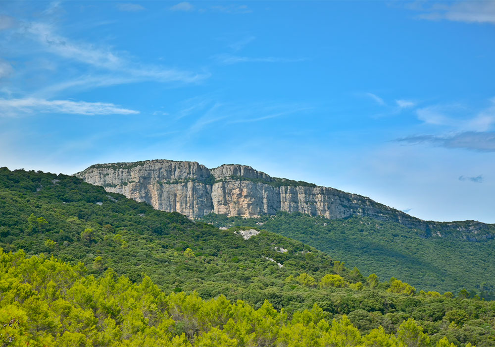 pic saint loup herault
