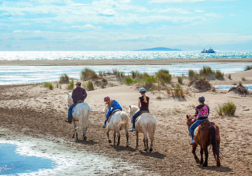 plage espiguette