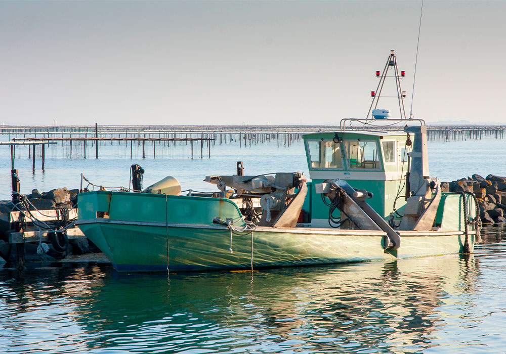 port de bouzigues a sete