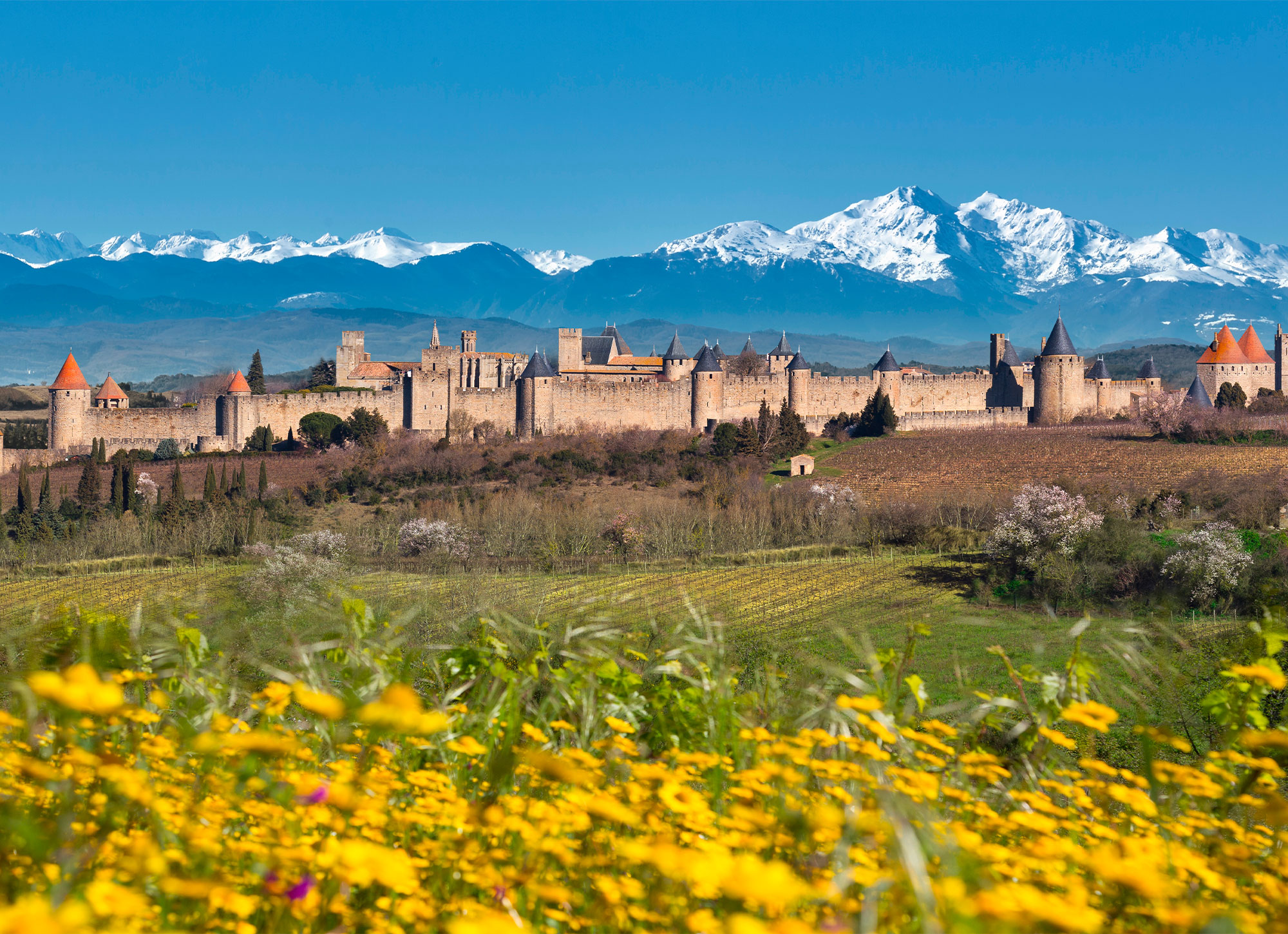 visiter la ville de carcassonne