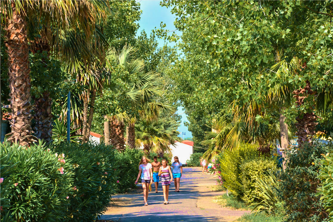 camping pas cher herault